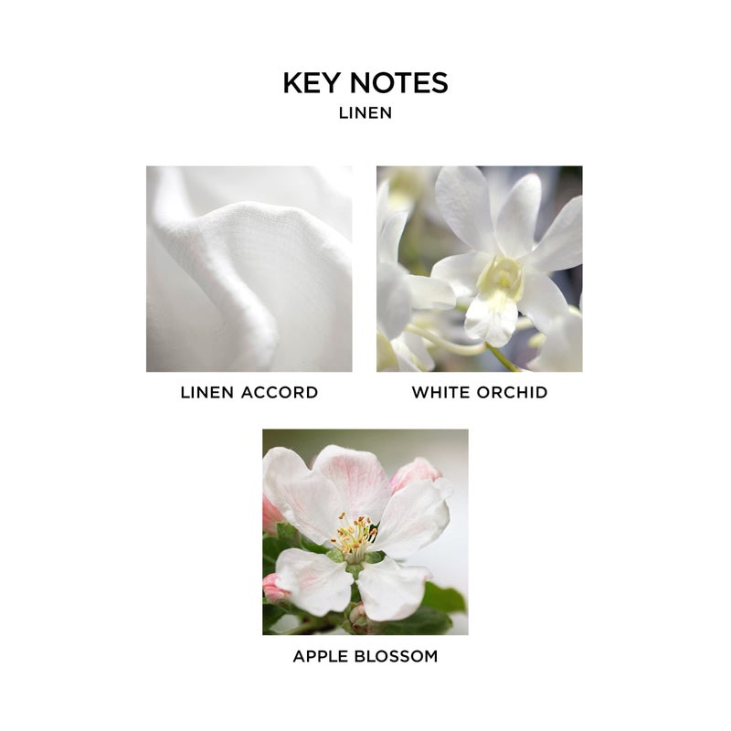 NEST Fragrances NEST08LN002 Linen Reed Diffuser, 5.9 fl oz - Image 3